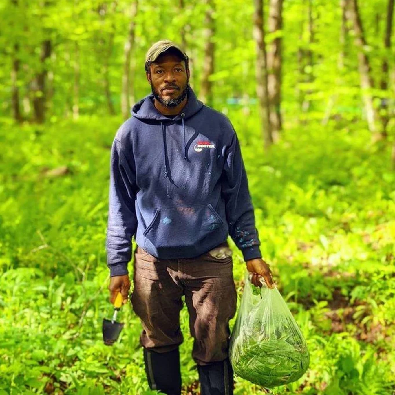 Ramps (Wild Leeks)